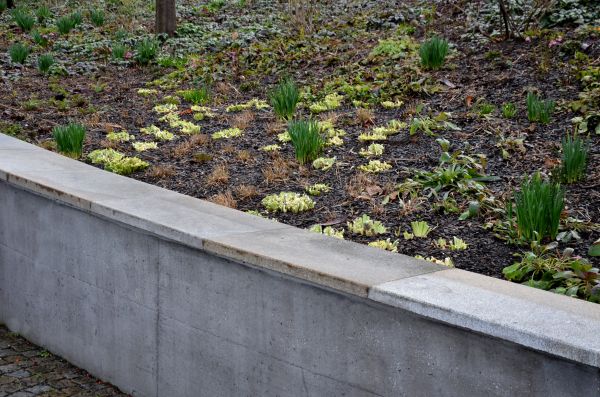 Concrete Wall Construction in Vallejo
