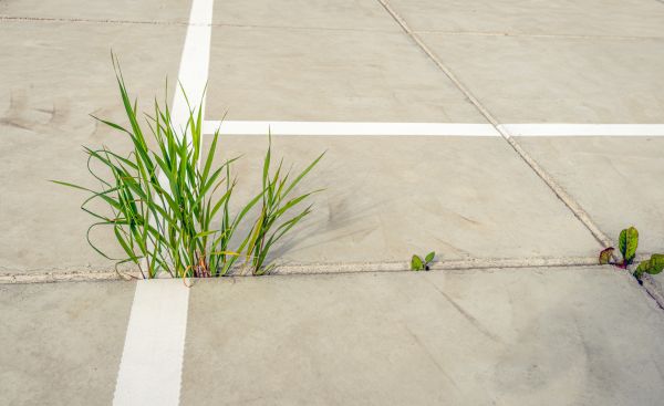 Concrete Parking Installation in Vallejo